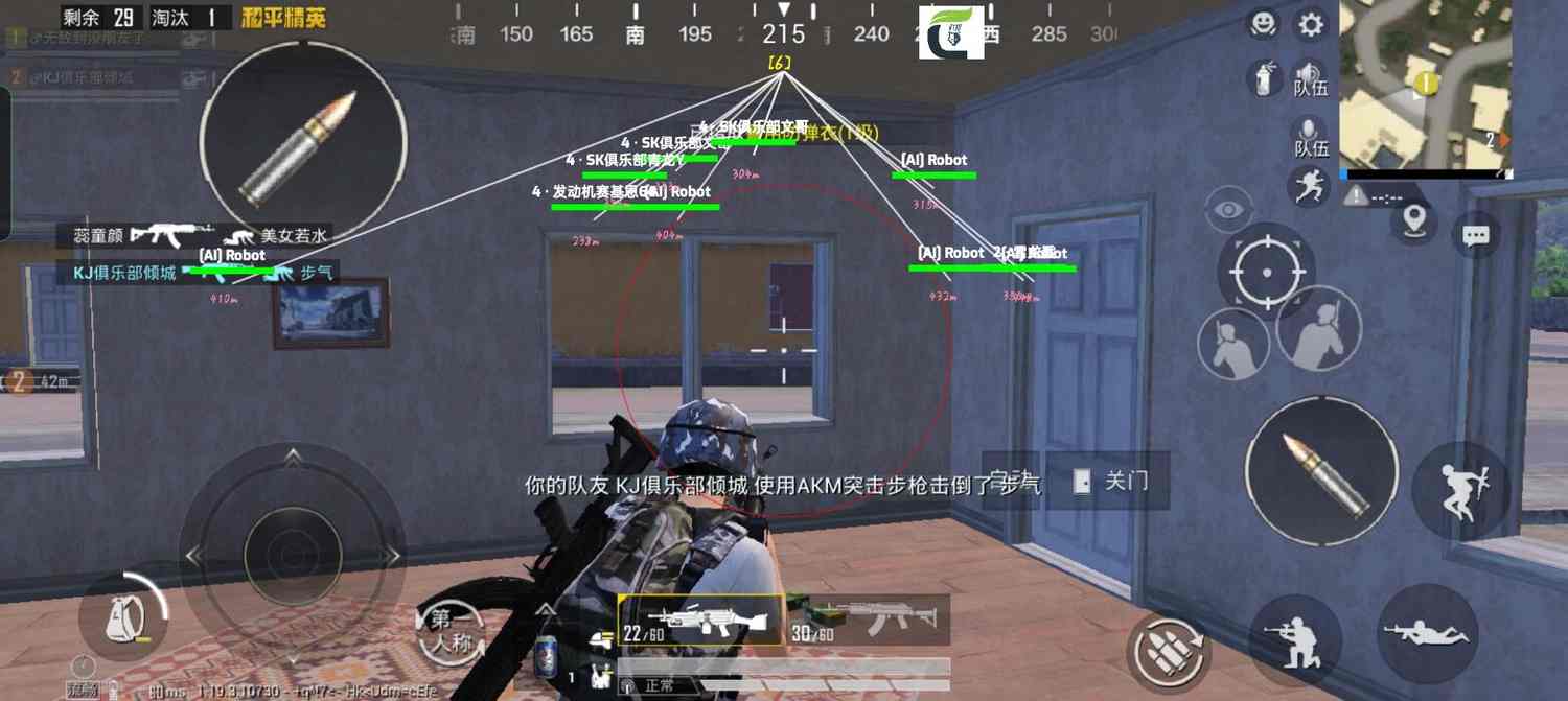 和平精英【雪儿内核】辅助